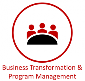 Business Transformation and Program Management