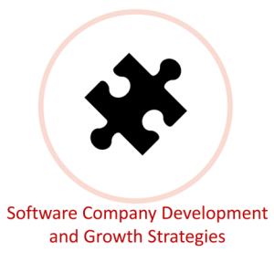 Software Company Development and Growth Strategies